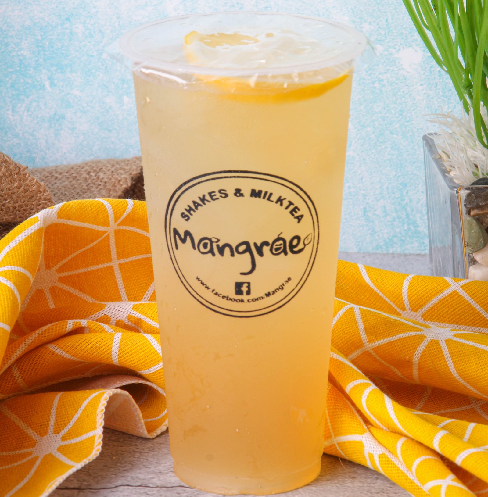 Plain Lemonade